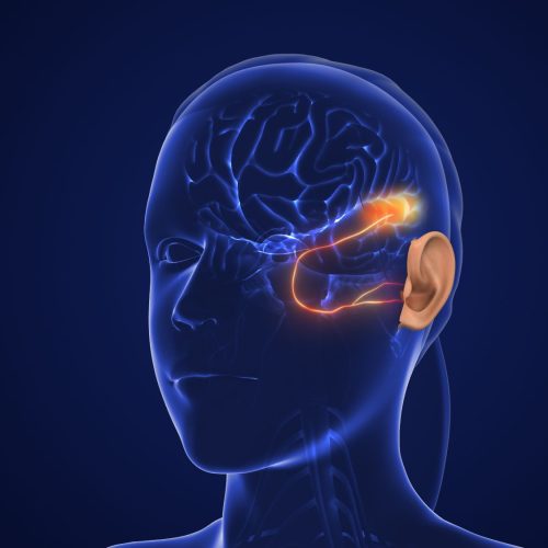 hearing loss a modifiable dementia risk factor