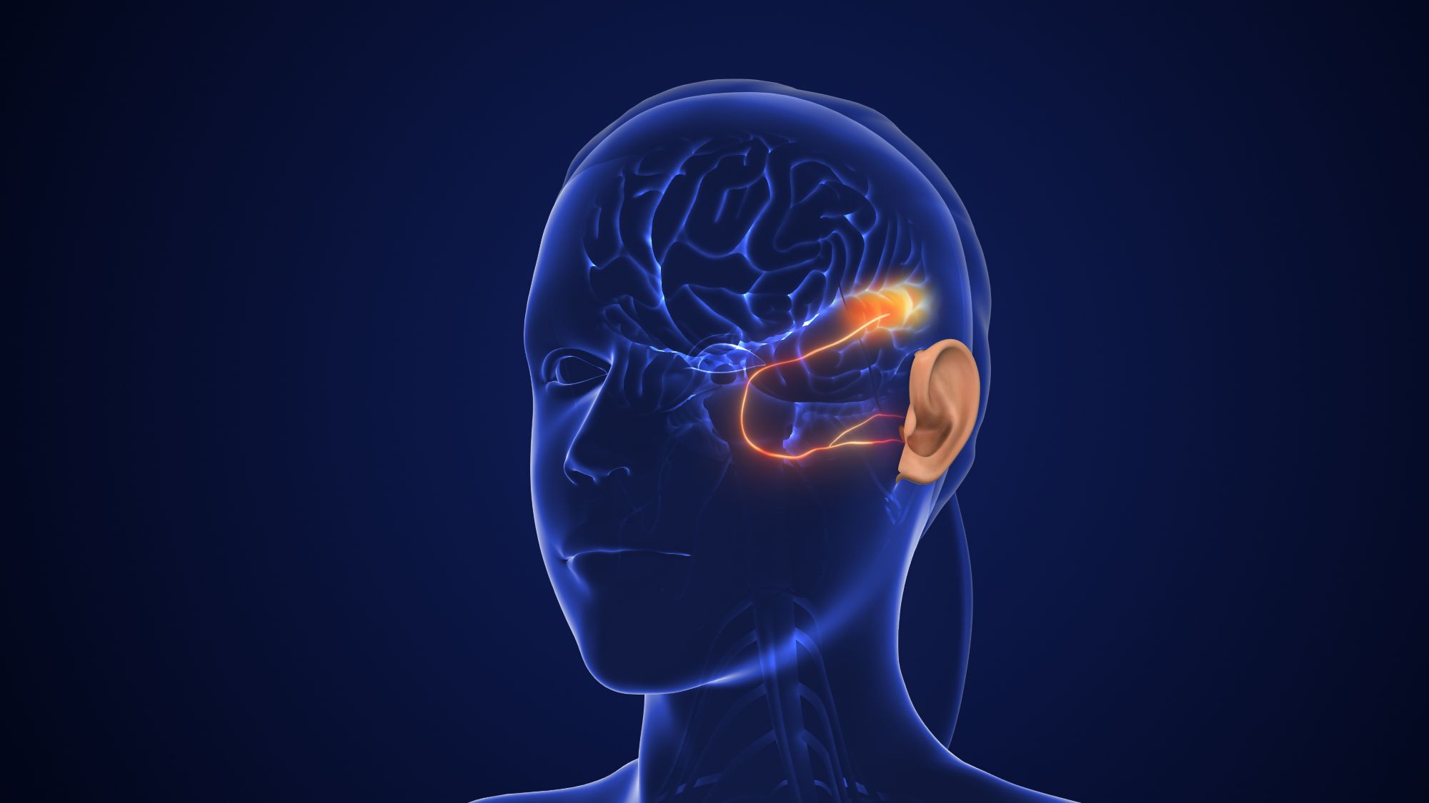 hearing loss a modifiable dementia risk factor