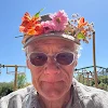 Jeb Harrison Avatar